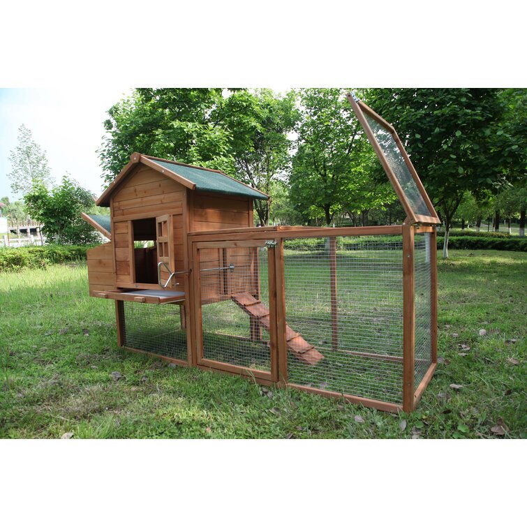 freddy chicken coop with chicken run nesting box roosting bar